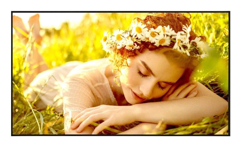 LG 50UL5Q-E Signage Display 50inch VA UHD 500cd/m2 4.500:1 24/7 WebOS 6.1 WiFi