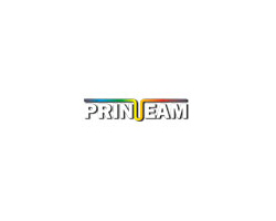 Print-Team kompatibilno za Epson T2991(29XL) tinta crna (15 ml)