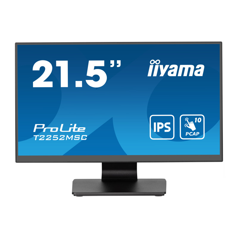 IIYAMA 22