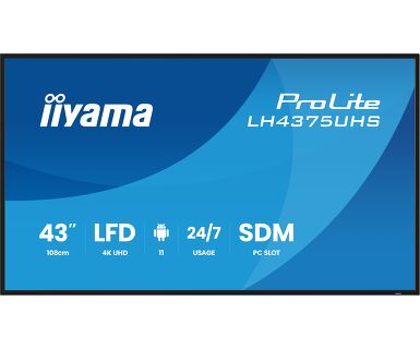 IIYAMA 43